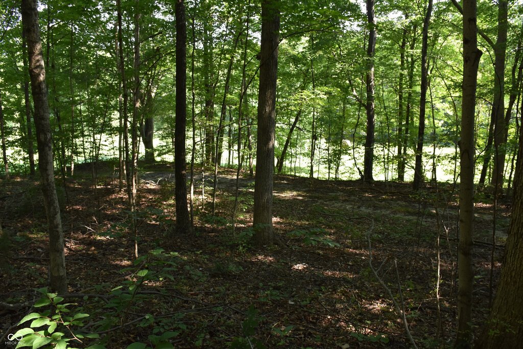 Picture 9