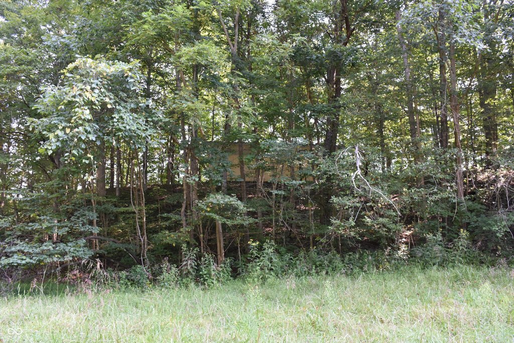 Picture 5
