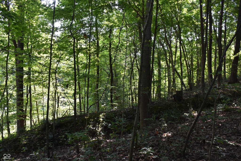 Picture 11