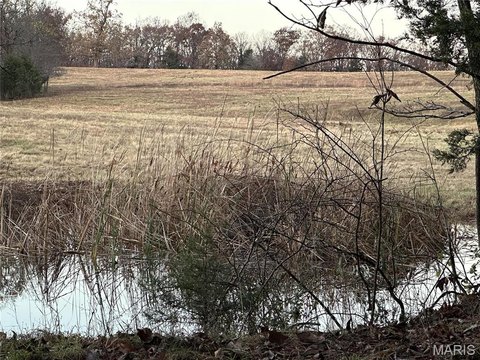 Cleared Land with Sunset Views