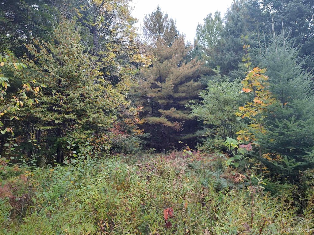 Picture 14