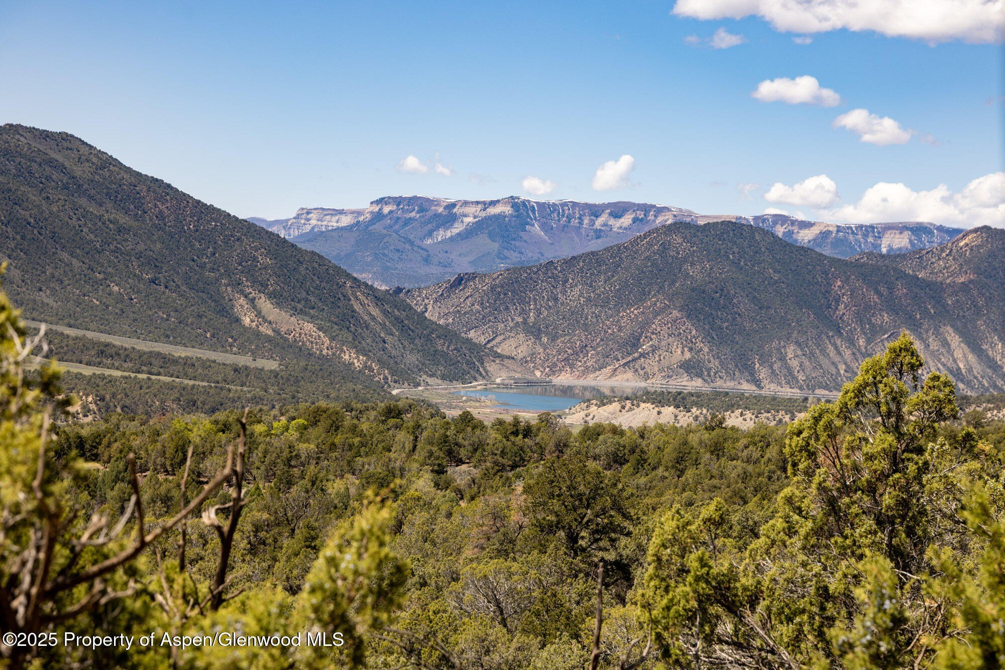 79 Acres Bordering BLM Land