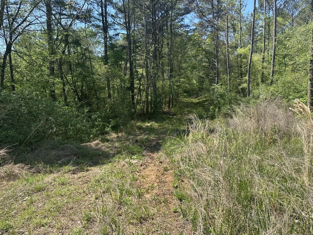 Picture 44