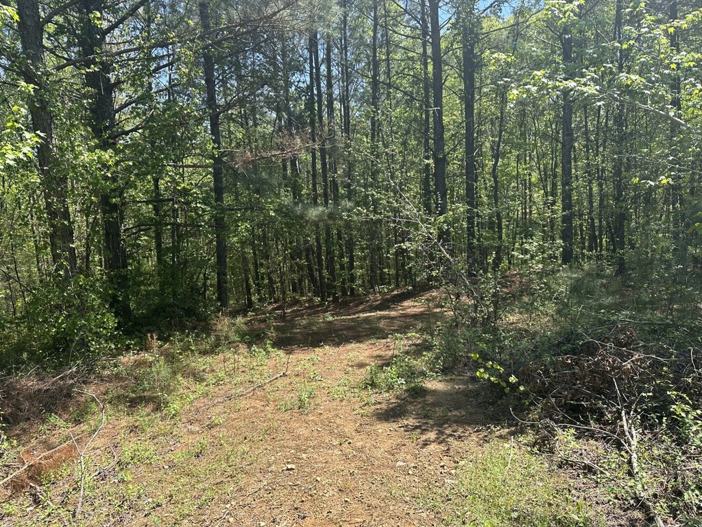 Picture 29