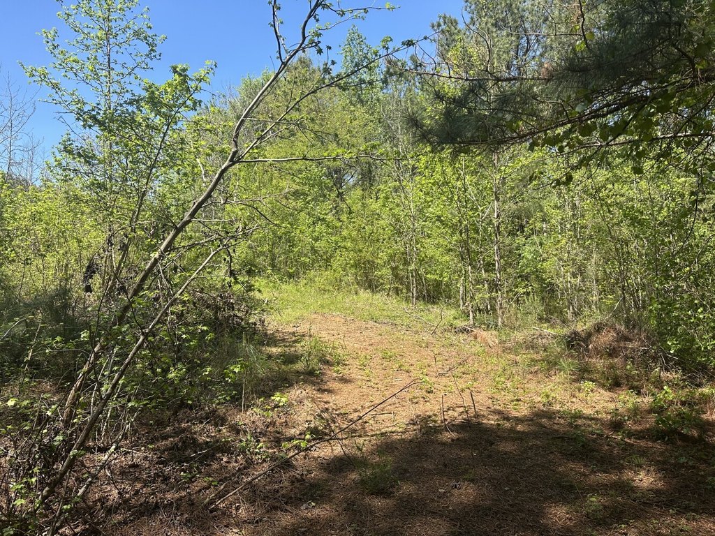 Picture 33