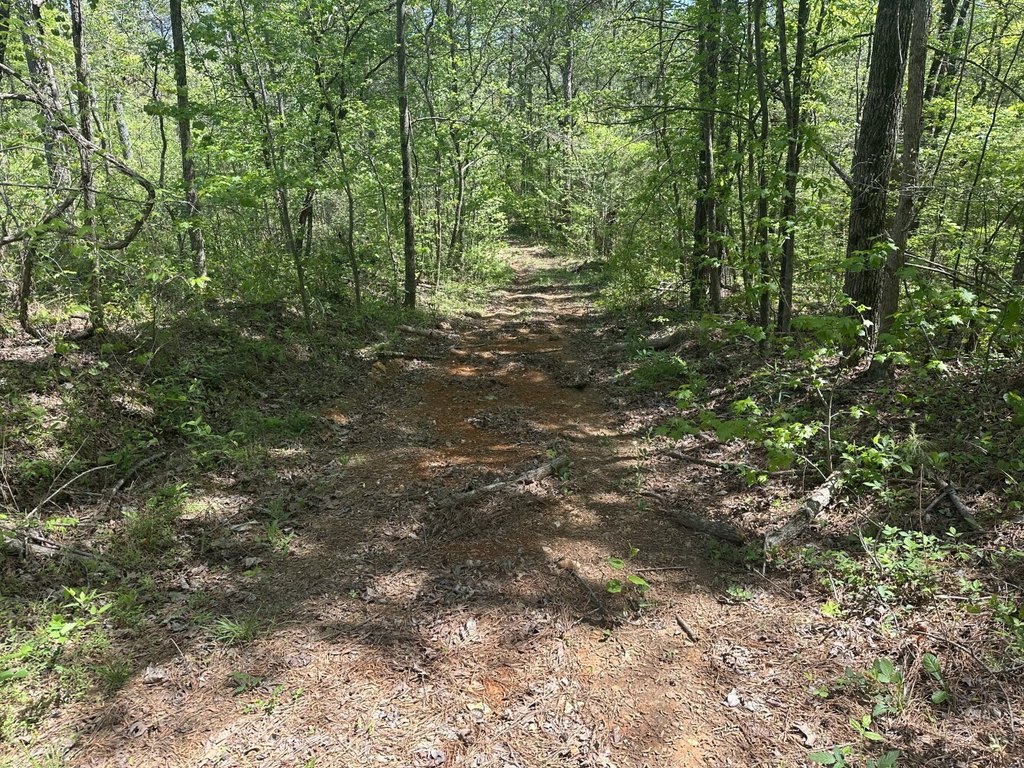 Picture 35