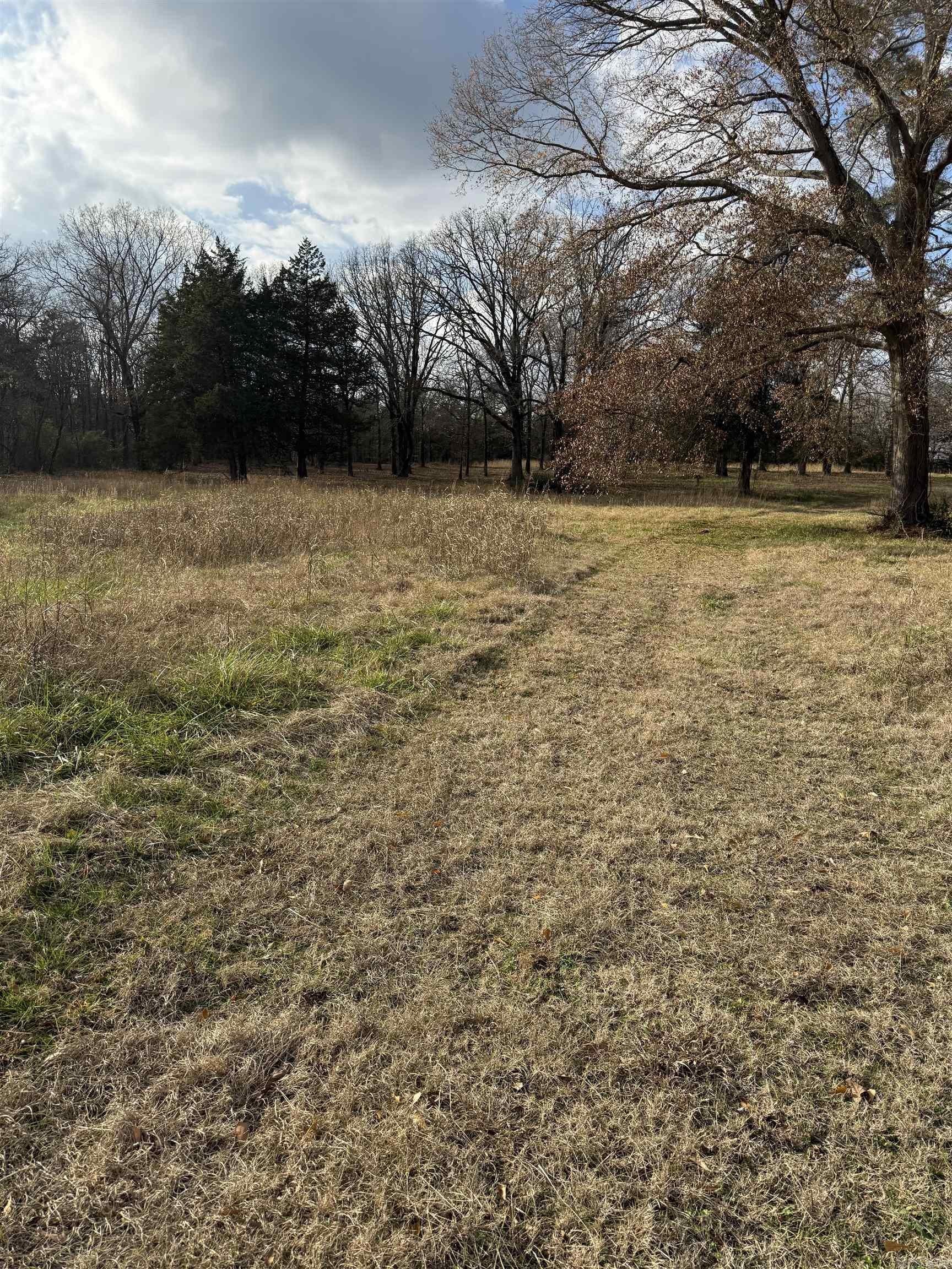 45+ Acre Land Parcel