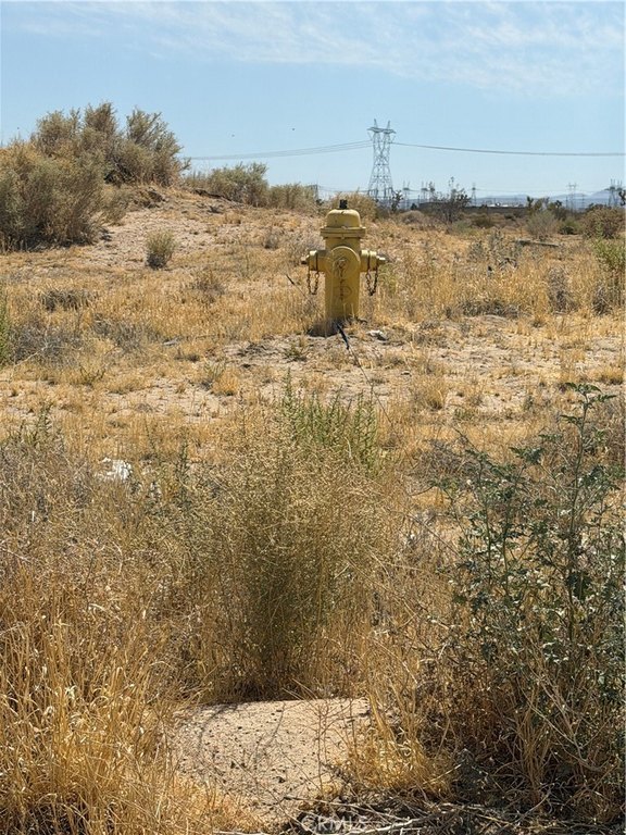 Picture 8