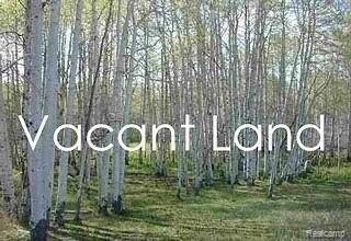 Romulus Land with Development Potential