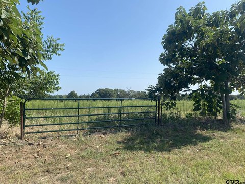 Land, Pittsburg, TX