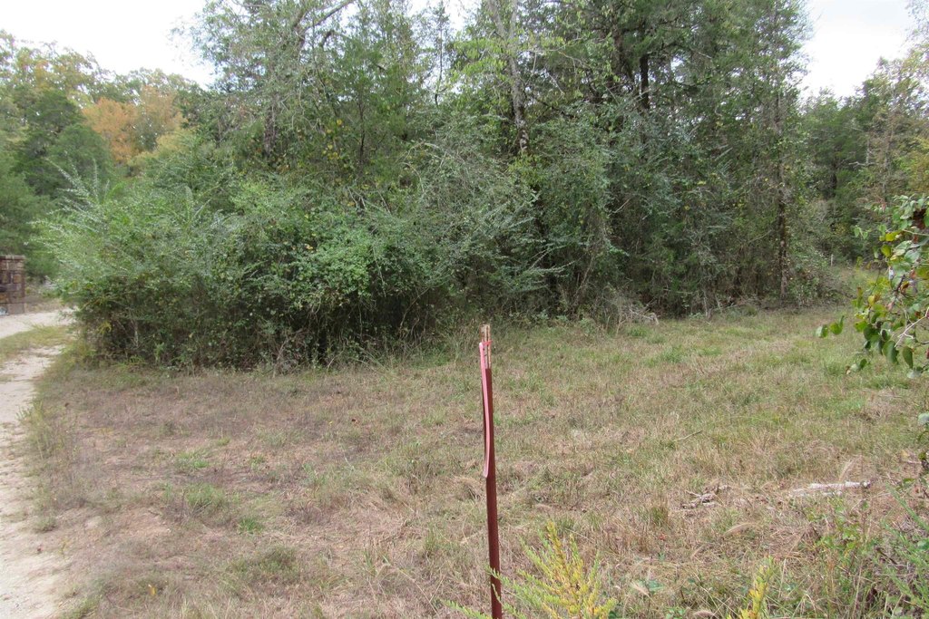 Picture 6