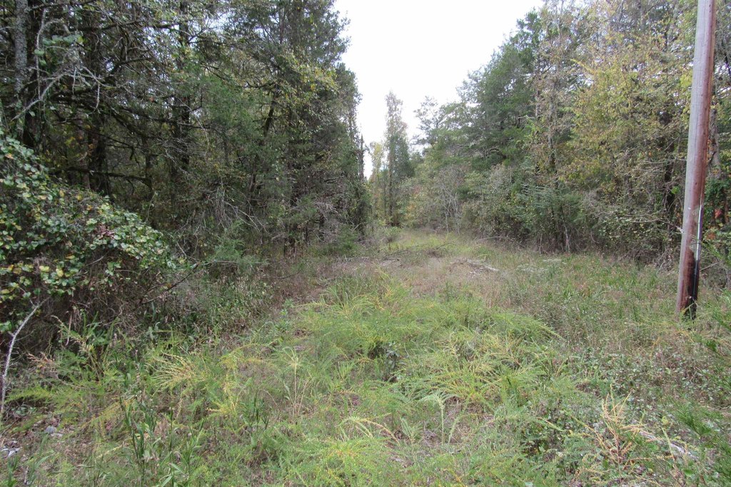 Picture 11