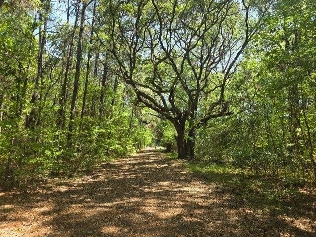 Wadmalaw Island Vacant Land