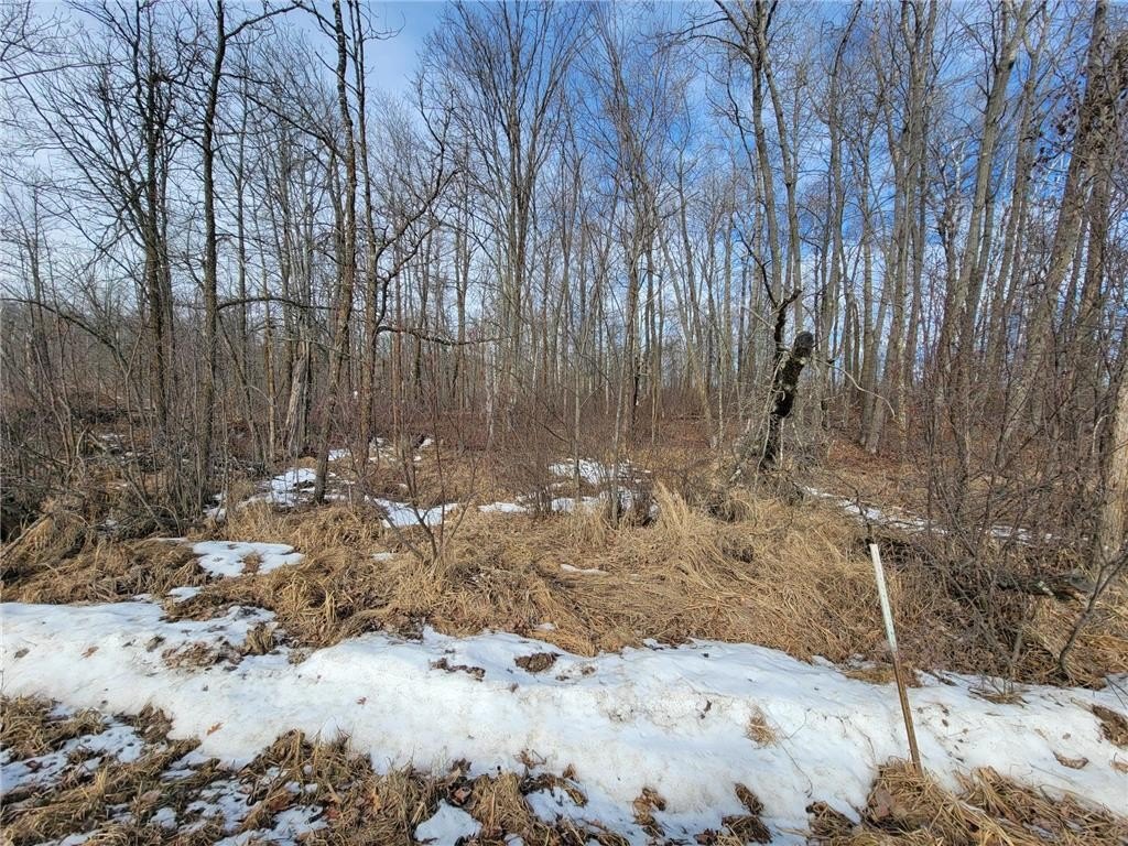 Picture 17