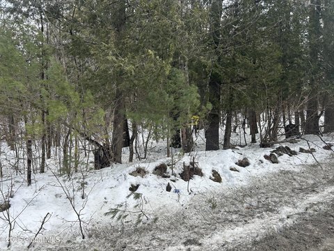 74.9 Acres Wooded Land