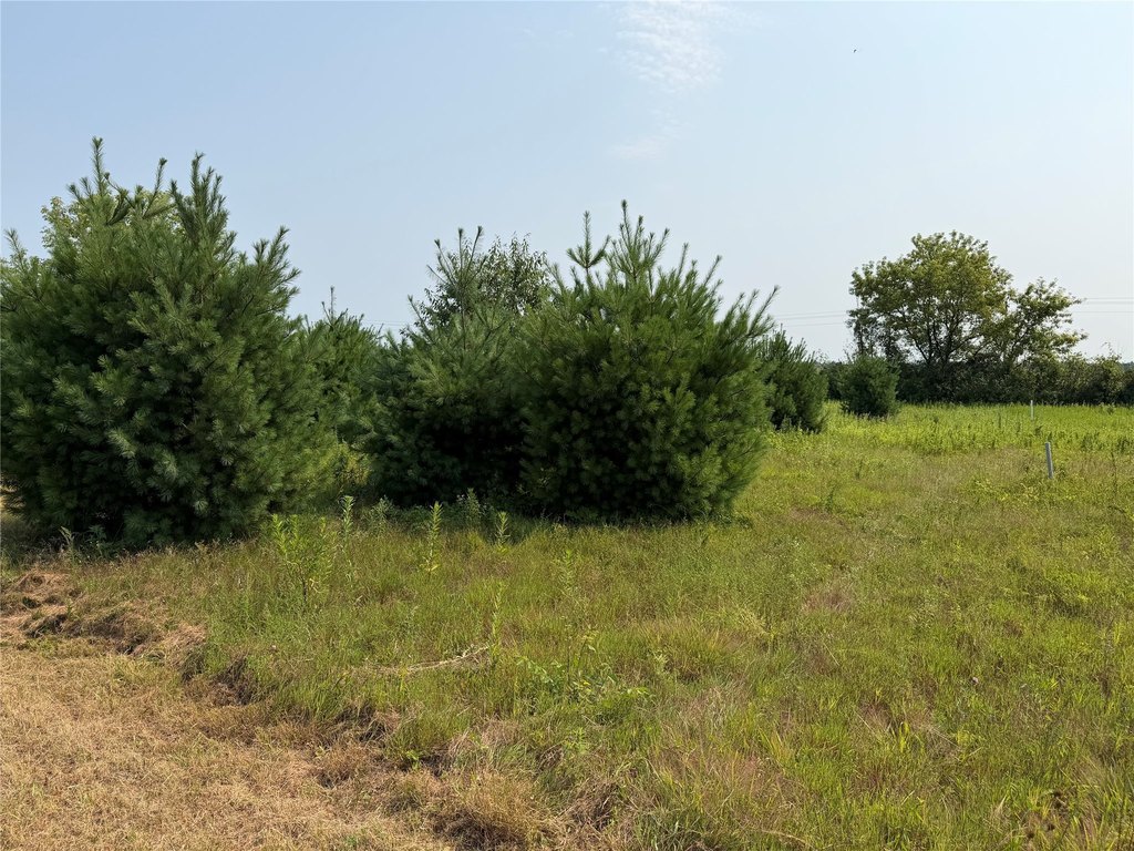 Picture 6