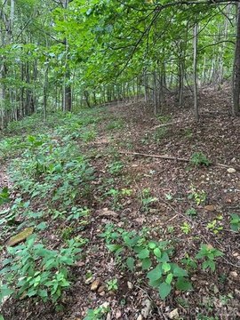 Land, Moravian Falls, NC