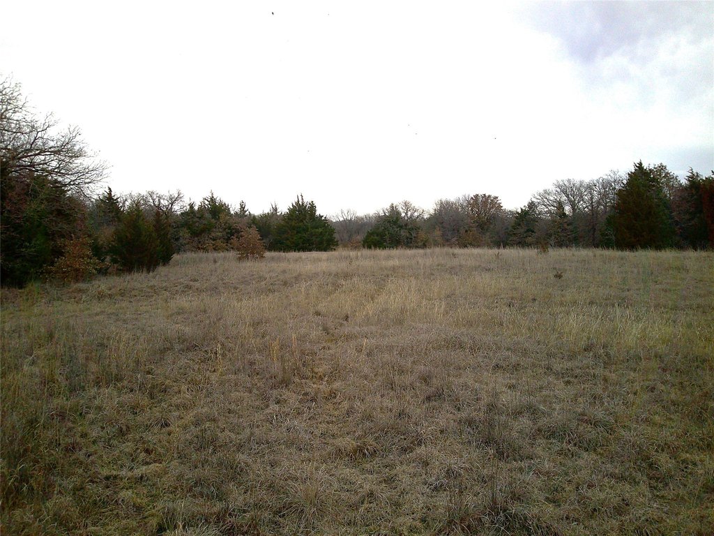 Picture 3