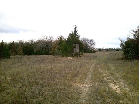 Ranch-Style Farmland Tract