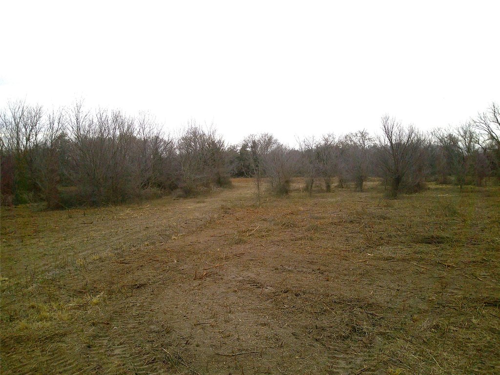 Picture 4