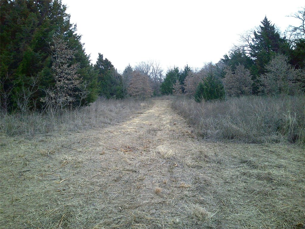 Picture 6