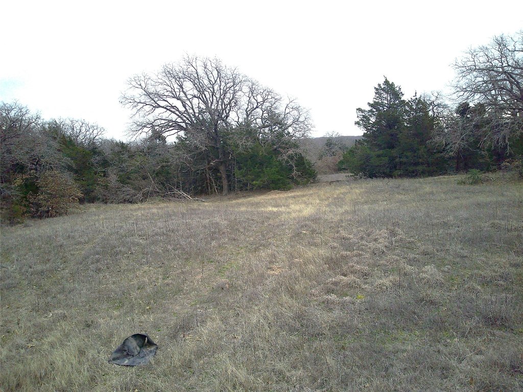 Picture 8
