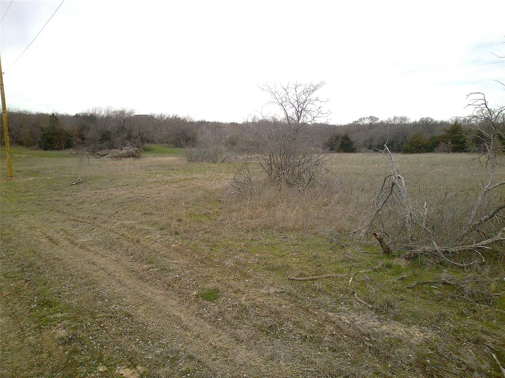 Picture 7