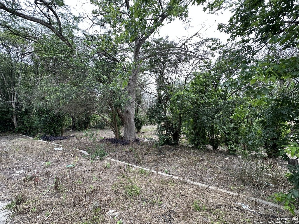 Picture 4