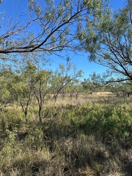 Lake Alan Henry Lakeside Retreat