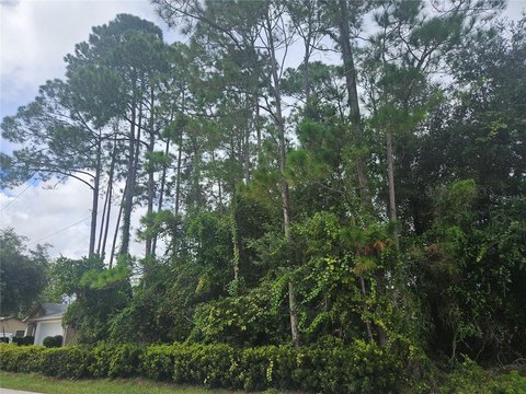 Land, PALM COAST, FL