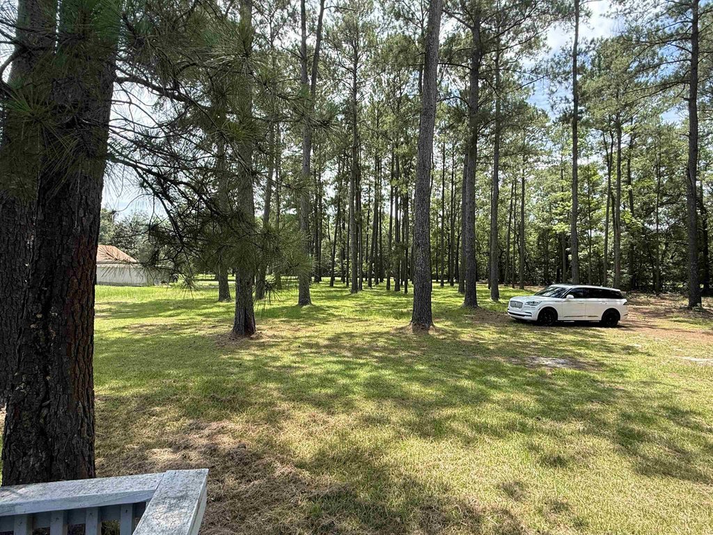 Picture 20