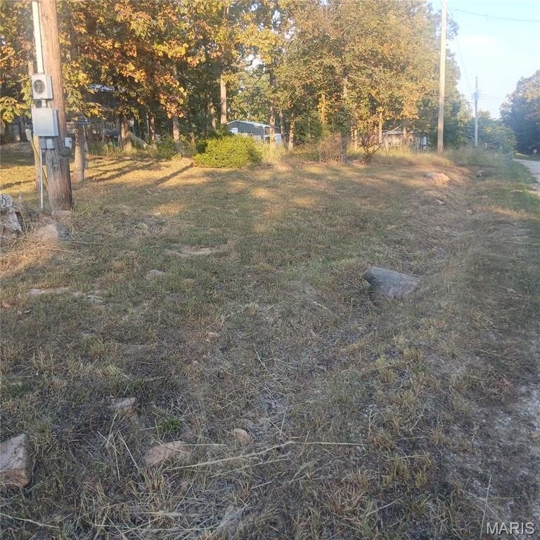 Picture 4
