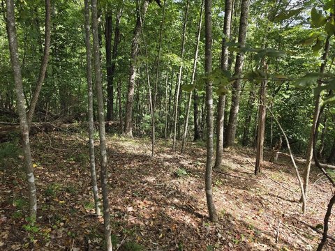 Land, Galax, VA