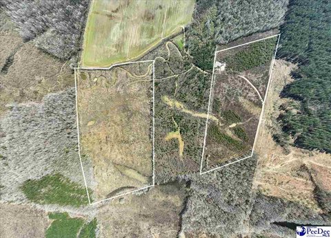 Recreational Hunting and Timber Land