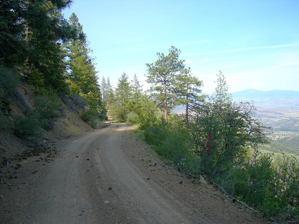 Picture 24