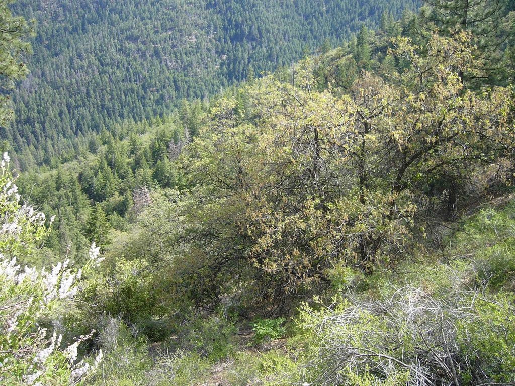 Picture 20