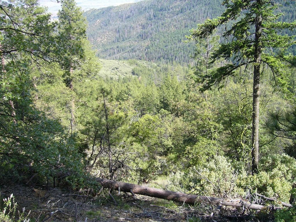 Picture 15