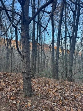 Picture of Land at Fox Run Ln 19n, Jasper, GA