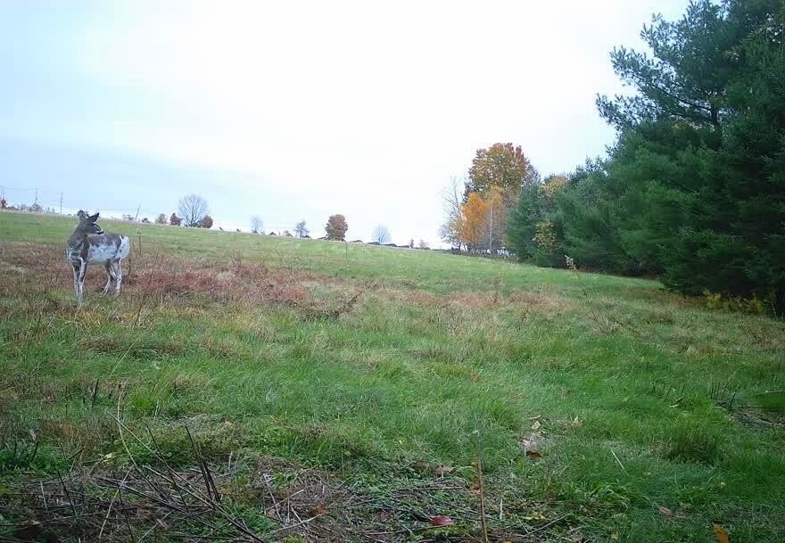 Picture 4
