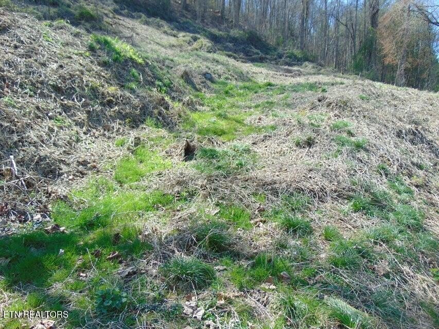 Land in Pineville, Kentucky