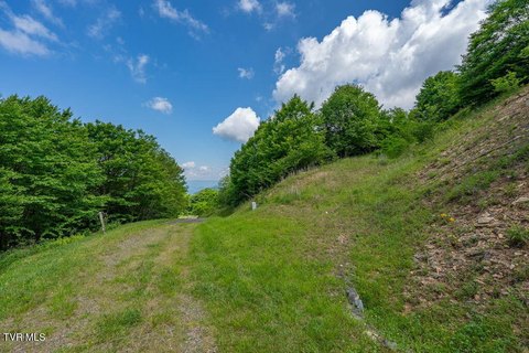 Land, Trade, TN
