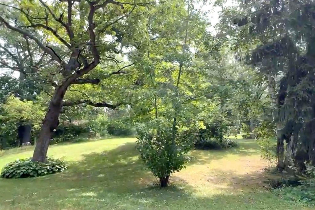 Picture 11