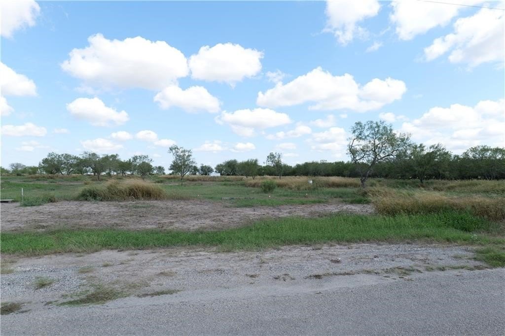 Picture 8