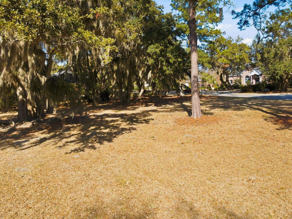 Picture 23
