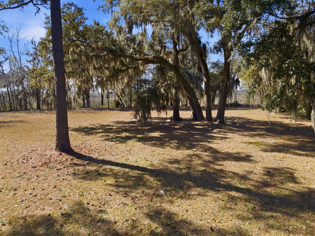 Picture 21