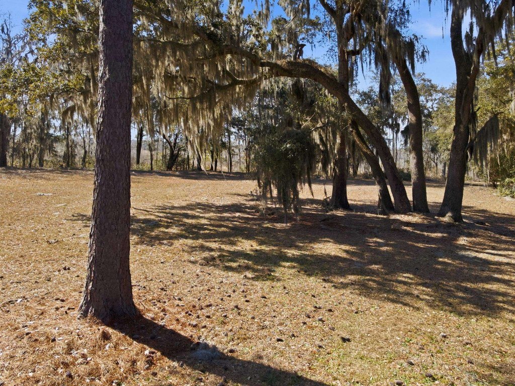 Picture 16