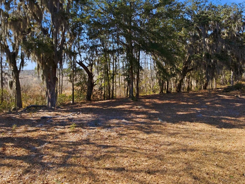 Picture 25