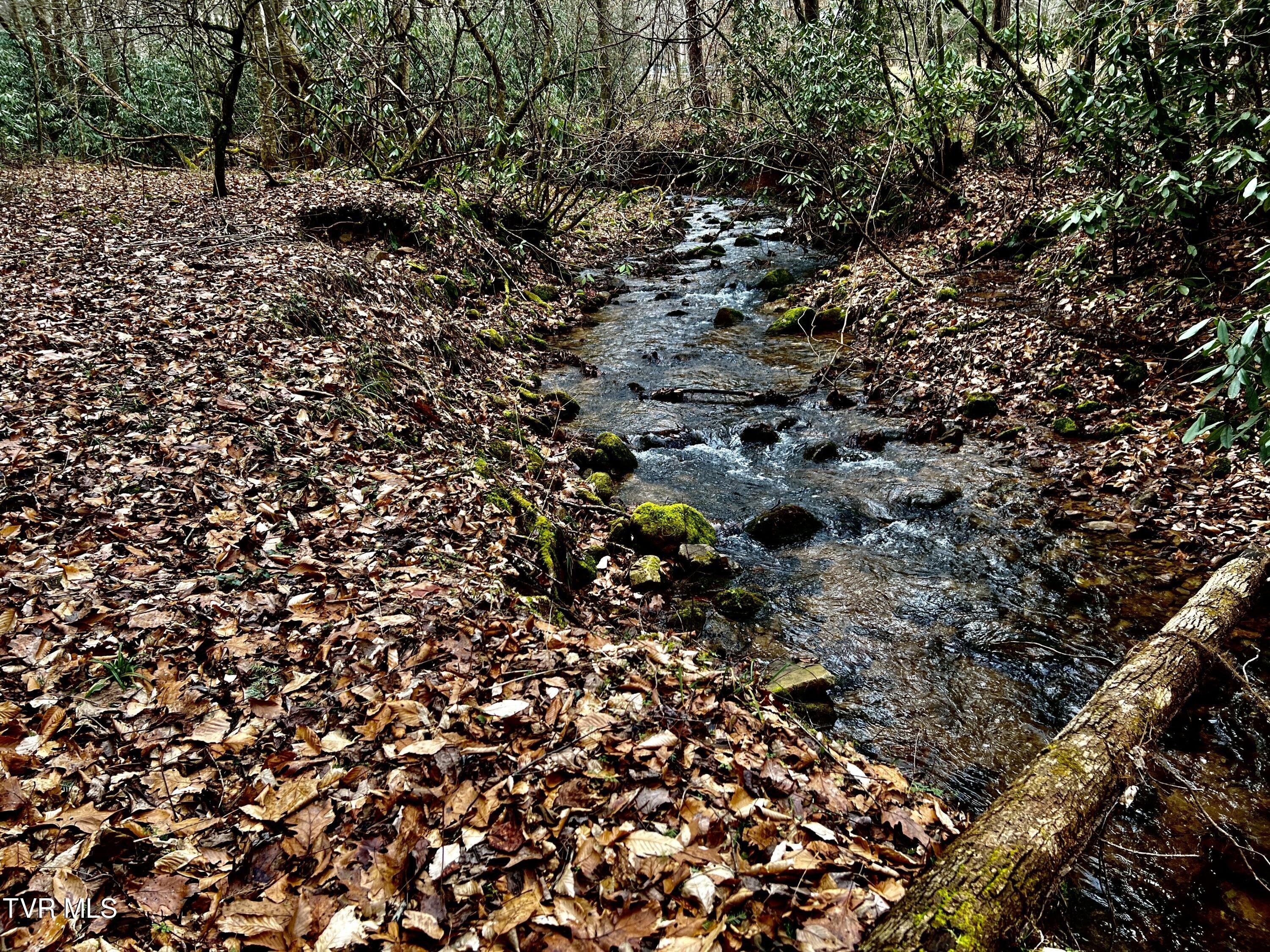 Unrestricted Land Bordering National Forest
