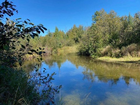 Land, Atlanta, MI