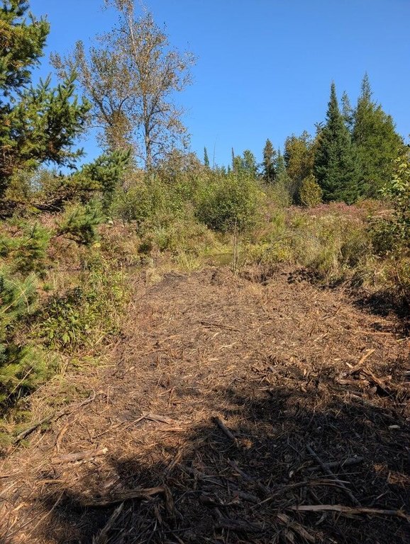Picture 25